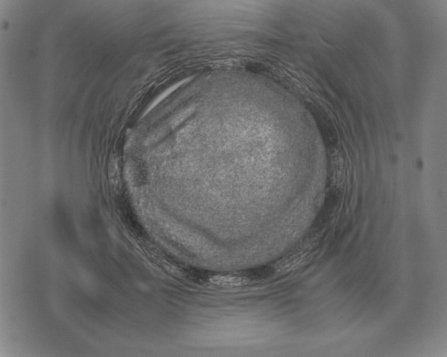 X0000071830699200607211802