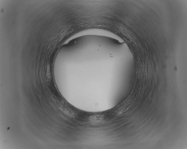 X0000071830700200607211802