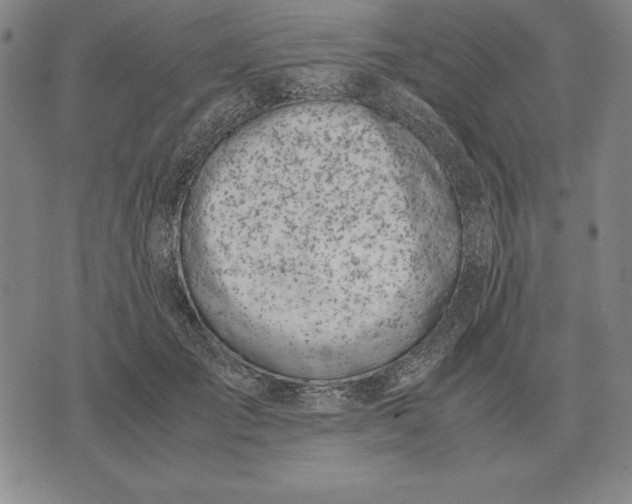 X0000071830701200607211802