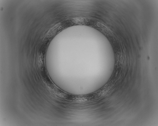 X0000071830702200607211802