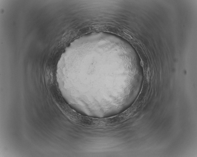 X0000071830703200607211802