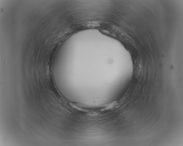 X0000071830704200607211802