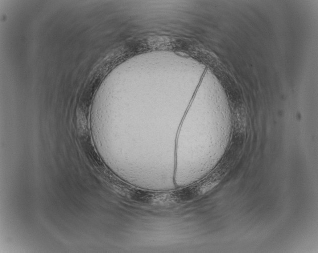 X0000071830705200607211802