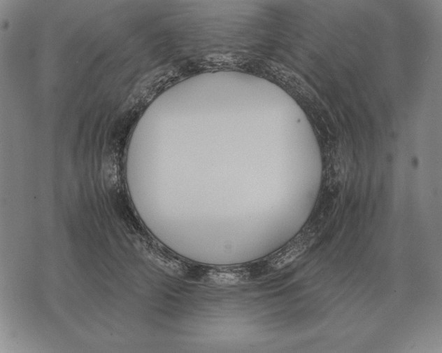 X0000071830706200607211802