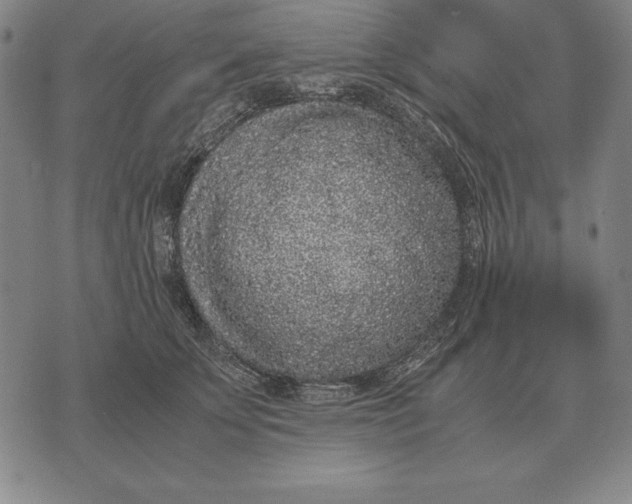 X0000071830707200607211802