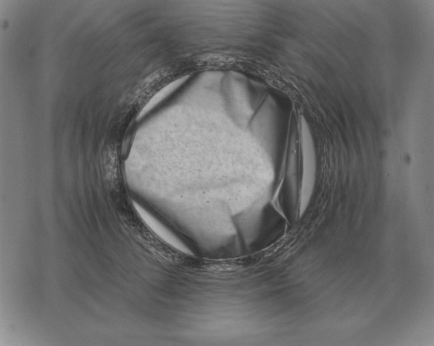 X0000071830708200607211802