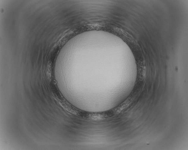 X0000071830710200607211802