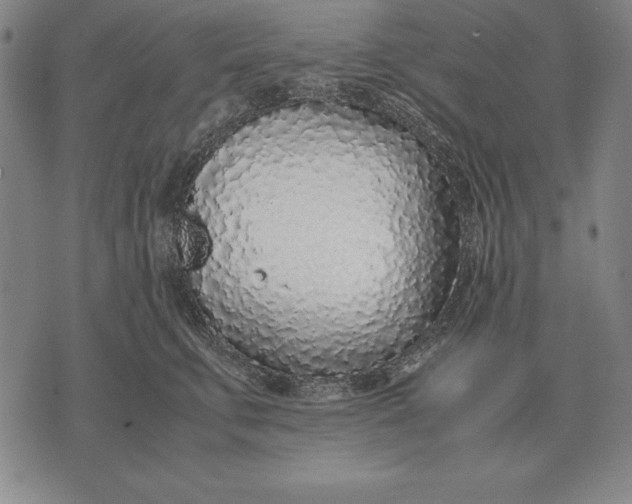 X0000071830711200607211802