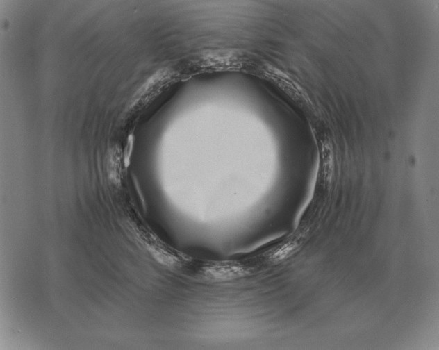 X0000071830712200607211802