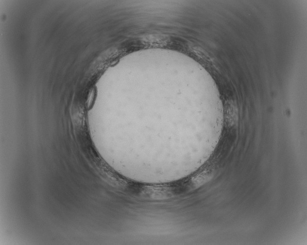 X0000071830713200607211802