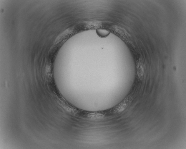 X0000071830714200607211802