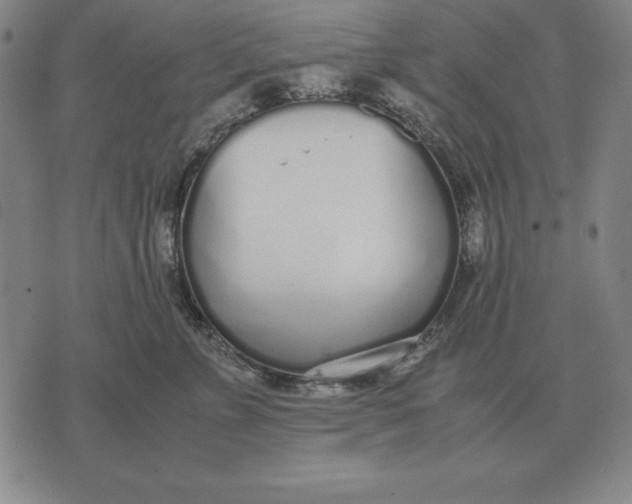 X0000071830715200607211802