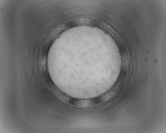 X0000071830717200607211802