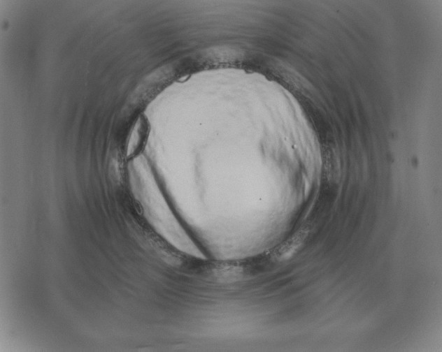 X0000071830718200607211801