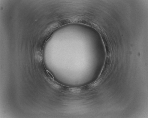 X0000071830719200607211801