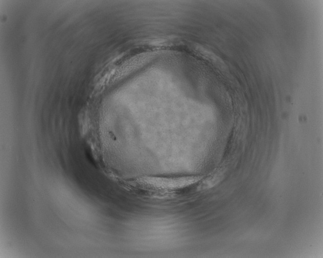 X0000071830720200607211801