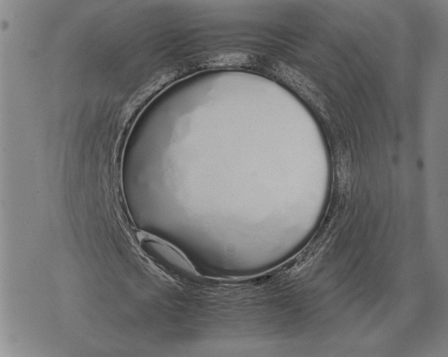 X0000071830721200607211801