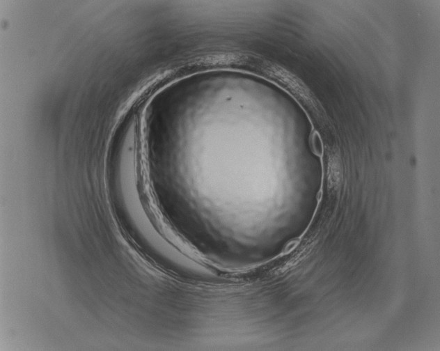 X0000071830722200607211801