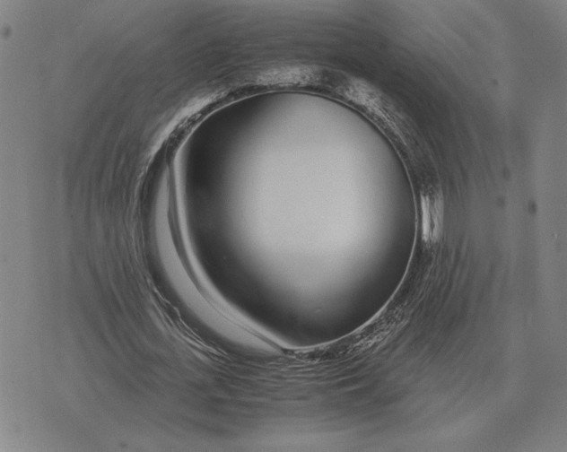 X0000071830723200607211801