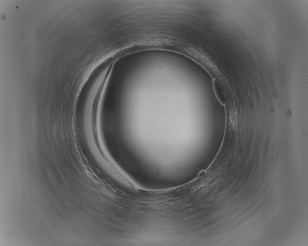 X0000071830724200607211801