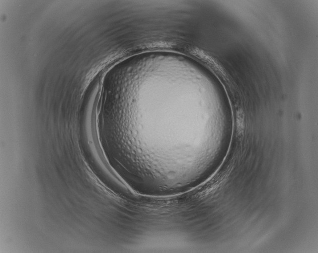 X0000071830725200607211801