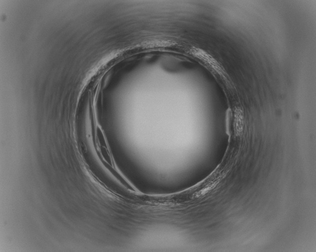 X0000071830726200607211801