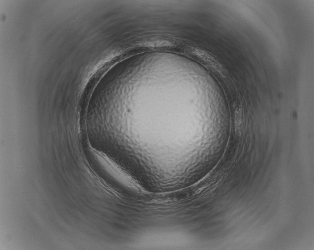 X0000071830727200607211801