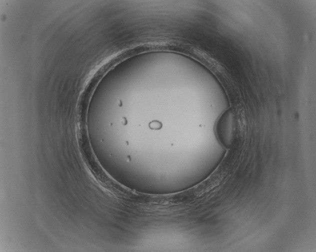 X0000071830728200607211801