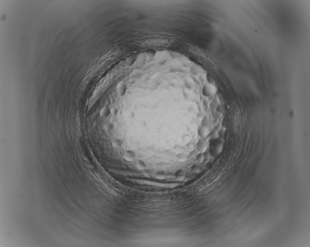 X0000071830729200607211801