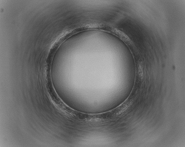 X0000071830730200607211801