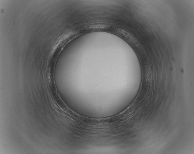 X0000071830731200607211801