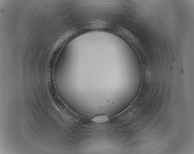 X0000071830732200607211801