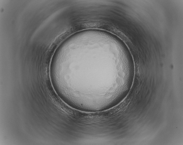 X0000071830733200607211801