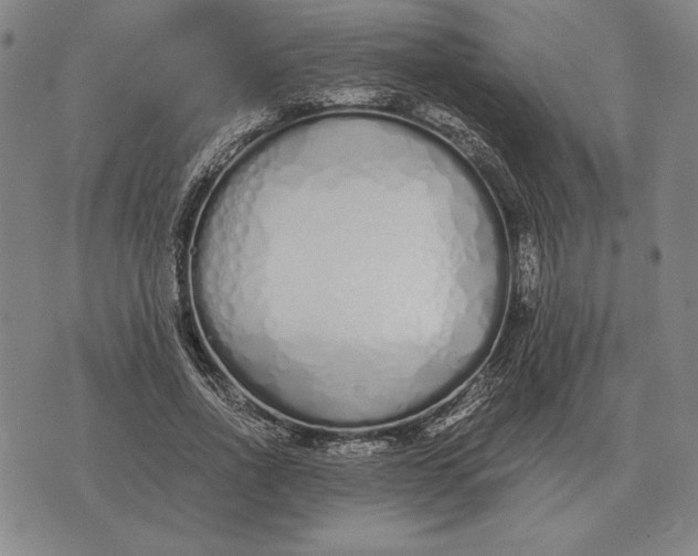 X0000071830734200607211801