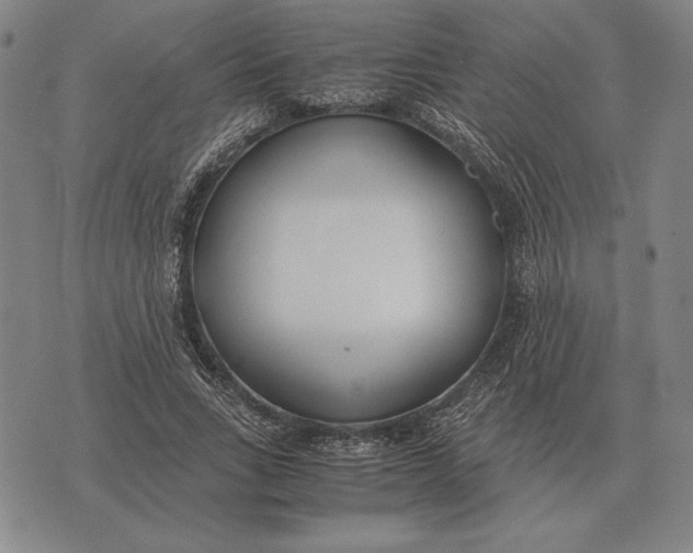 X0000071830735200607211801