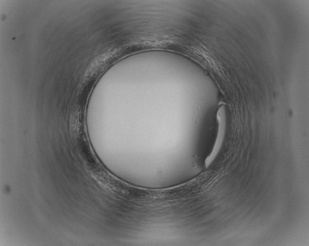 X0000071830736200607211801