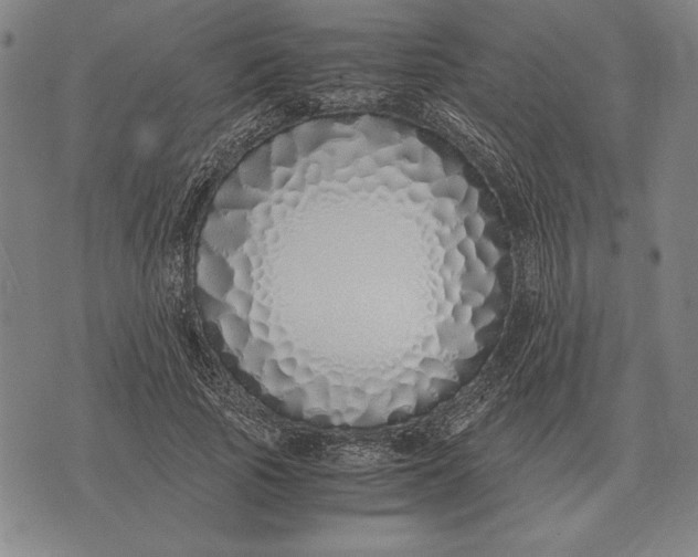 X0000071830737200607211801