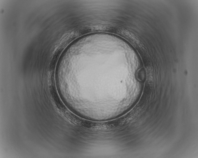 X0000071830738200607211801