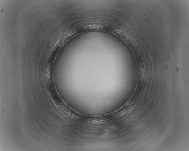 X0000071830739200607211801