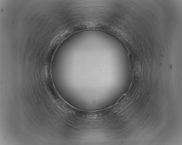 X0000071830740200607211801