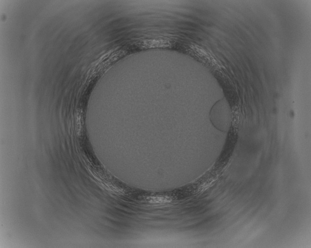 X0000071830741200607211801