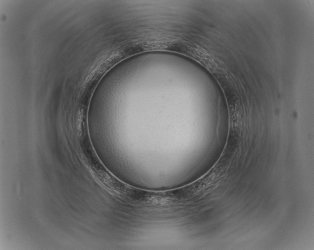 X0000071830742200607211801