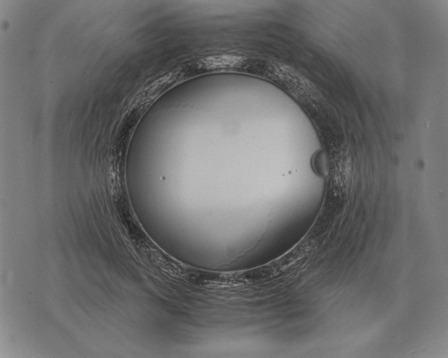 X0000071830743200607211801