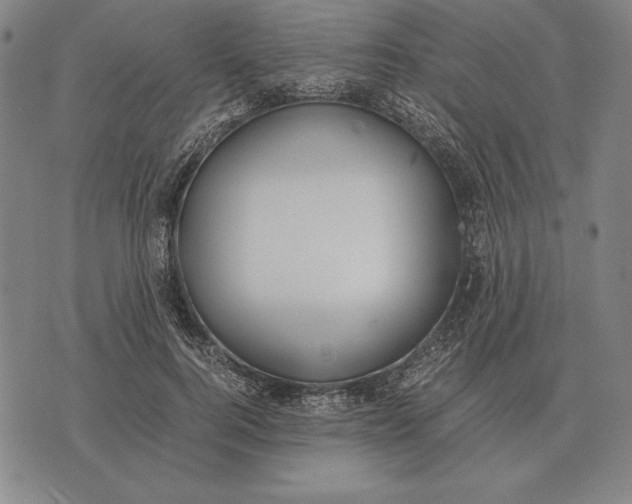 X0000071830744200607211801