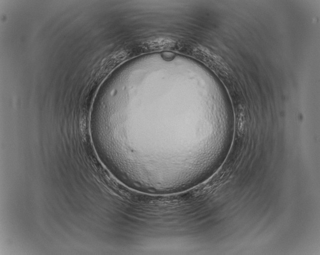 X0000071830745200607211801