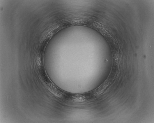 X0000071830746200607211801