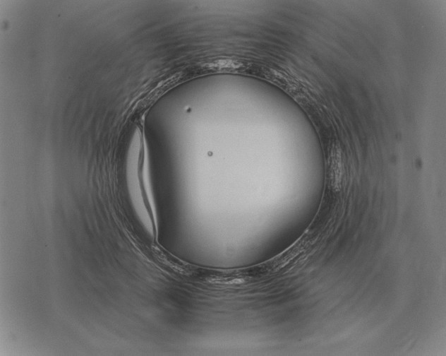 X0000071830747200607211801