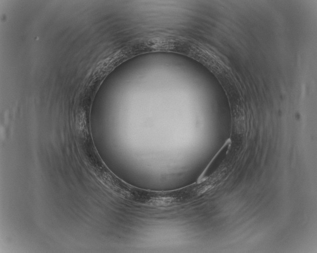 X0000071830748200607211801