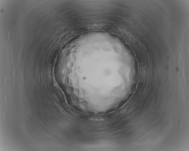 X0000071830749200607211801