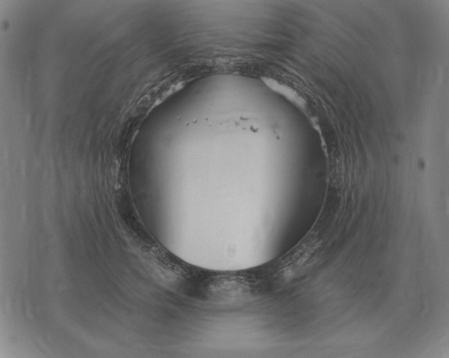 X0000071830750200607211801